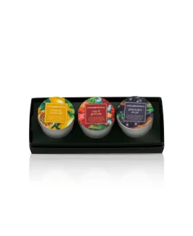 Kit Vela Perfumada Acqua Aroma Tropicaliza 60g c/ 3und Brasil em Polpa